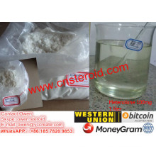 Dépôt Primobolan à vendre Enanthate méthénolone Enanthate metenolone Bodybuilding